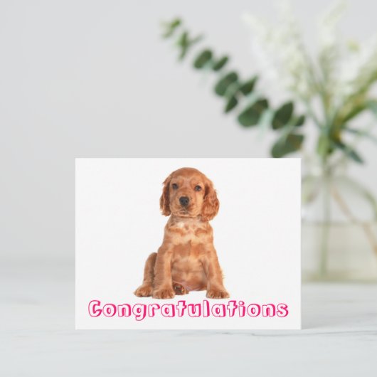 Gefeliciteerd Cocker Spaniel Puppy Dog Briefkaart (Staand voorkant)