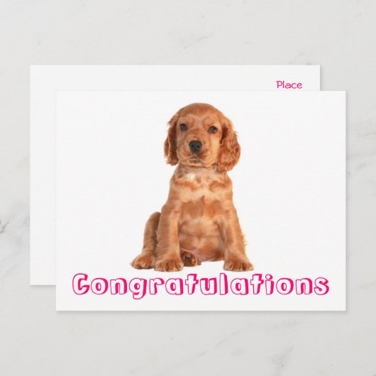 Gefeliciteerd Cocker Spaniel Puppy Dog Briefkaart (Voorkant / Achterkant)