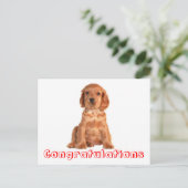 Gefeliciteerd Cocker Spaniel Puppy Dog Briefkaart (Staand voorkant)