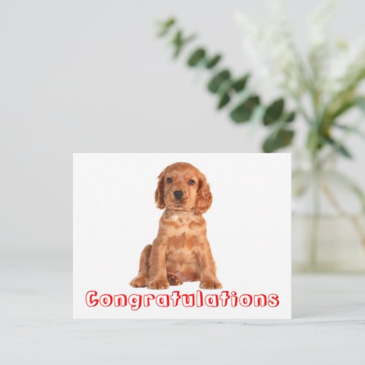 Gefeliciteerd Cocker Spaniel Puppy Dog Briefkaart (Staand voorkant)