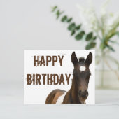 Gefeliciteerd Colt Horse Briefkaart (Staand voorkant)
