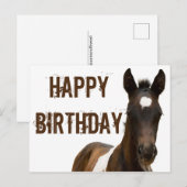 Gefeliciteerd Colt Horse Briefkaart (Voorkant / Achterkant)