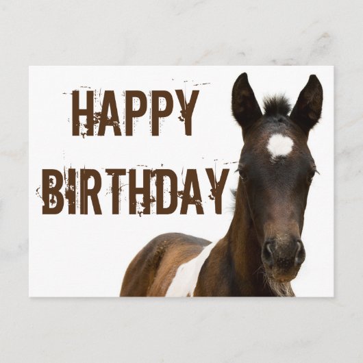 Gefeliciteerd Colt Horse Briefkaart (Voorkant)