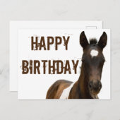 Gefeliciteerd Colt Paard Briefkaart (Voorkant / Achterkant)