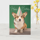 Gefeliciteerd | Corgi Verjaardag Puppy Kaart (Gele Bloem)