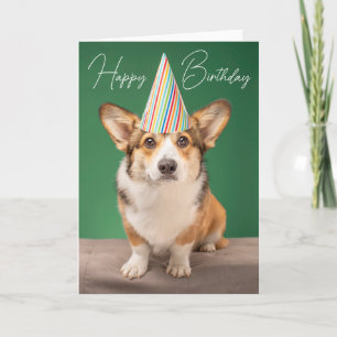 Gefeliciteerd   Corgi Verjaardag Puppy Kaart