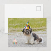 Gefeliciteerd Cute Hond Met Cupcake Briefkaart (Voorkant / Achterkant)