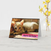 Gefeliciteerd Cute Little Kitten Kaart (Gele Bloem)