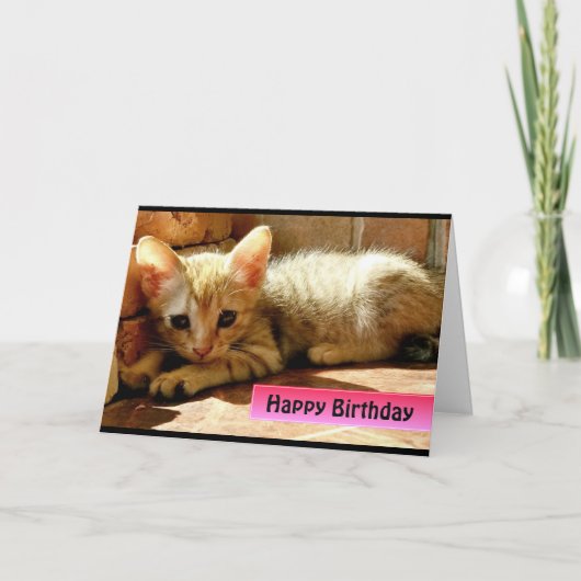 Gefeliciteerd Cute Little Kitten Kaart (Voorkant)