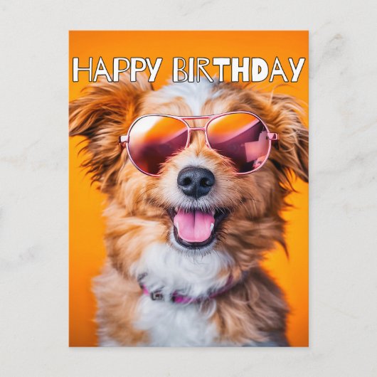 Gefeliciteerd Cute Party Dier Briefkaart (Voorkant)
