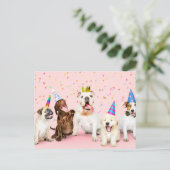 Gefeliciteerd Cute Party Dieren Briefkaart (Staand voorkant)