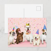 Gefeliciteerd Cute Party Dieren Briefkaart (Voorkant / Achterkant)
