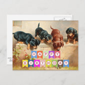 Gefeliciteerd, Dachshond-puppy's, Briefkaart (Voorkant / Achterkant)