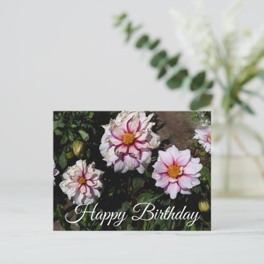 Gefeliciteerd Dahlia Edge of Joy #1 Ansichtkaart Briefkaart (Staand voorkant)