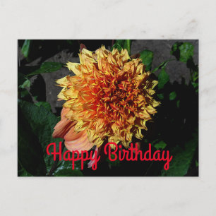 Gefeliciteerd Dahlia Sandia Brocade #1 Ansichtkaar Briefkaart
