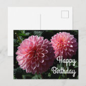 Gefeliciteerd Dahlia Valley Porcupine #1 Ansichtka Briefkaart (Voorkant / Achterkant)