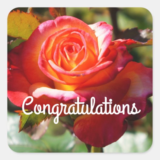 Gefeliciteerd Dream kom ware Roos #2 Sticker (Voorkant)