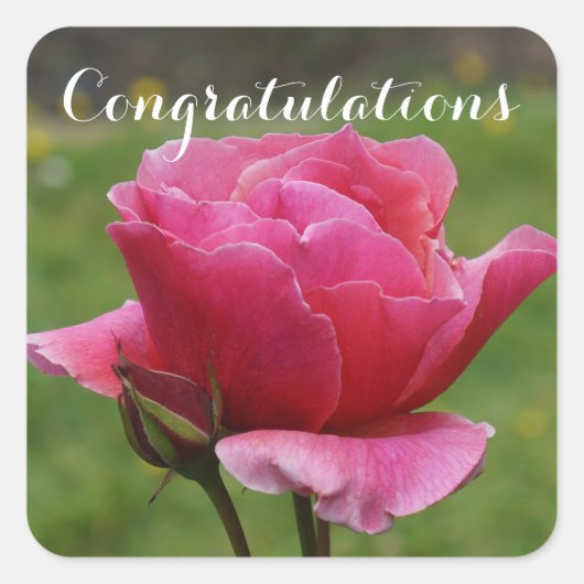 Gefeliciteerd Duet Roos #1-2 Stickers (Voorkant)