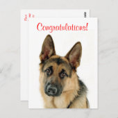Gefeliciteerd Duitse Herder Puppy Dog Briefkaart (Voorkant / Achterkant)