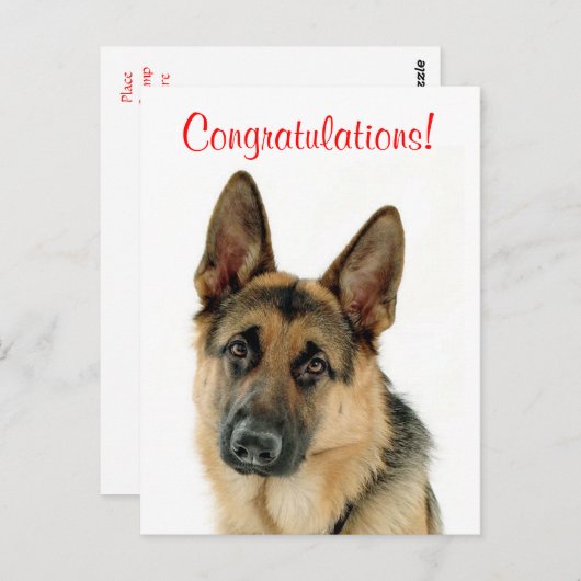 Gefeliciteerd Duitse Herder Puppy Dog Briefkaart (Voorkant / Achterkant)