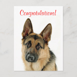 Gefeliciteerd Duitse Herder Puppy Dog Briefkaart
