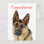Gefeliciteerd Duitse Herder Puppy Dog Briefkaart (Voorkant)