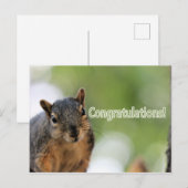 Gefeliciteerd eekhoorn briefkaart (Voorkant / Achterkant)