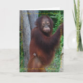 Gefeliciteerd en beste wensen kaart (Voorkant)