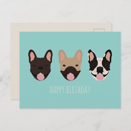 Gefeliciteerd Franse Bulldog Teal Briefkaart (Voorkant / Achterkant)