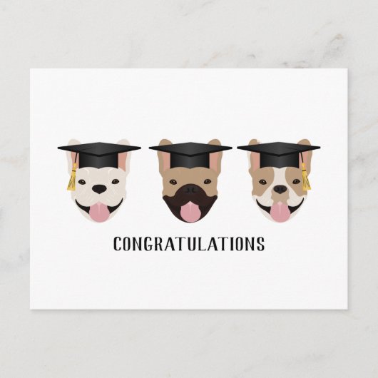 Gefeliciteerd Franse Bulldogs Briefkaart (Voorkant)