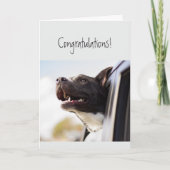Gefeliciteerd, Fun Dog kan niet gelukkiger zijn Kaart (Voorkant)