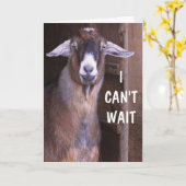 Gefeliciteerd Geitengeit Kaart (Gele Bloem)