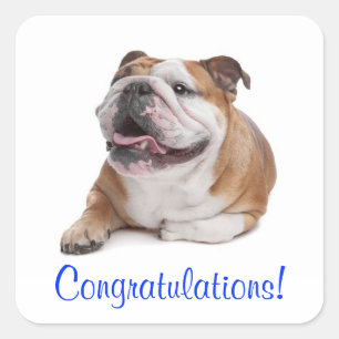 Gefeliciteerd Gelukkige Bulldog Puppy Hond Sticker