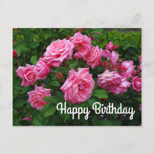 Gefeliciteerd Gene Boerner Roos #2 Ansichtkaart Briefkaart