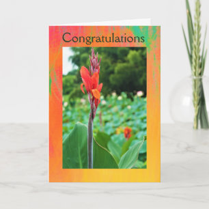 Gefeliciteerd Gevouwen Wenskaart door Jo Afbeeldin Kaart