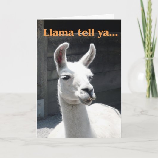 Gefeliciteerd - Grappige Lama Kaart (Voorkant)