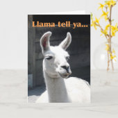 Gefeliciteerd - Grappige Lama Kaart (Gele Bloem)