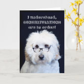 GEFELICITEERD - HUMOR MET ZWARTE RAND/HONDENBRIL KAART (Gele Bloem)