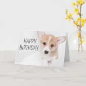Gefeliciteerd | Jonge Corgi Puppy Kaart (Gele Bloem)