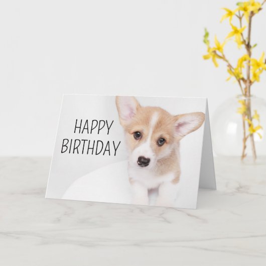 Gefeliciteerd | Jonge Corgi Puppy Kaart (Gele Bloem)