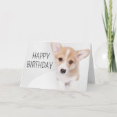 Gefeliciteerd | Jonge Corgi Puppy Kaart (Voorkant)