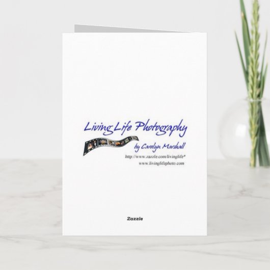 Gefeliciteerd Kaart (Achterkant)