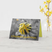 Gefeliciteerd Kaart (Gele Bloem)