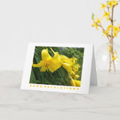 Gefeliciteerd Kaart: Daylilies, Yellow Kaart (Gele Bloem)