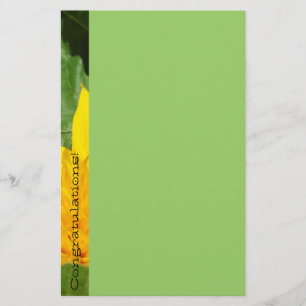 Gefeliciteerd! kantoorartikelen Gele Groene Zonneb Briefpapier