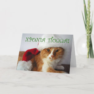 GEFELICITEERD - Kat met Kerstmanhoed Feestdagen Kaart