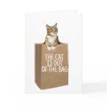 Gefeliciteerd (katten uit de zak)