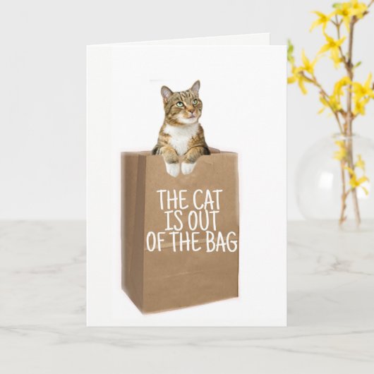 Gefeliciteerd (katten uit de zak) kaart (Gele Bloem)