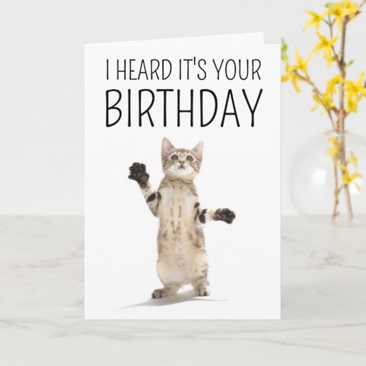 Gefeliciteerd | Kitten op wit Kaart (Gele Bloem)