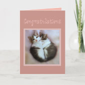 Gefeliciteerd Kittens in de liefde Kaart (Voorkant)